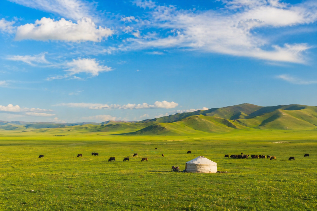 chatgpt image apr 24, 2026, 04 12 15 pm