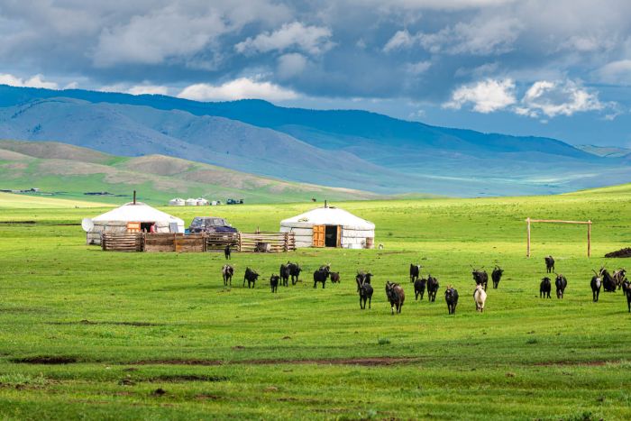 Home pemerintah china dilaporkan batasi ruang digital masyarakat mongolia 2026 02 16 10 31 43 4389