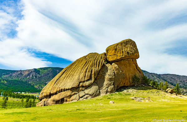 Home turtle rock in terelj